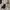 Manolo  blahnik not chanel dior gucci mm6 givenchy marni photo 1