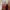 Manolo  blahnik not chanel dior gucci mm6 givenchy marni photo 4