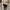 Manolo  blahnik not chanel dior gucci mm6 givenchy marni photo 2