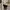 Manolo  Blahnik Not Chanel Dior Gucci Mm6 Givenchy Marni
