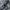 EDWIN Vintage Casual Jeans Pria blue photo 7