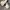 Hawkins Casual Boots Pria cream photo 1