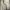 Hawkins Casual Boots Pria cream photo 5