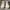 Hawkins Casual Boots Pria cream photo 3