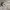 Golden goose deluxe brand superstar not ggdb veja mm6 msgm photo 4