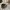 Golden goose deluxe brand superstar not ggdb veja mm6 msgm photo 2
