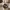 Maison margiela german army trainer not adidas samba visvim  photo 2