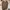 Maison margiela german army trainer not adidas samba visvim  photo 6