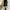 Mic condenser Soundtech photo 5