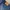 Japanese brand Vintage Casual Jeans Pria blue photo 3