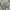 Japanese brand Vintage Casual Casual pants Pria gray photo 5