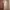 A silky white vintage like sleepgown  photo 1