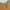 ZARA Streetwear Casual Midi dress Wanita multicolor yellow photo 3