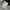 Nudie Jeans Tight Long John Original Black And Grey photo 7