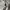 Vintage SPITFIRE Cargo Pants photo 6