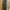 Dickies Dark Navy Double Knee photo 1