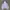 Streetwear Puffer jacket Pria white photo 1