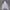 Streetwear Puffer Jacket Pria White