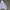 Streetwear Puffer jacket Pria white photo 3