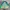 Vintage Puffer jacket Pria green photo 2