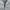 VAN Vintage Windbreaker Pria white photo 6