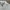 VAN Vintage Windbreaker Pria white photo 4