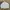 VAN Vintage Windbreaker Pria White