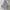 Stussy Streetwear Vintage Hoody Pria gray photo 1