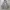 Stussy Streetwear Vintage Hoody Pria gray photo 2