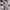 Stussy Streetwear Vintage Hoody Pria gray photo 6