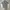 Stussy Streetwear Y2K T-shirt Pria gray photo 2