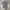 Stussy Streetwear Y2K T-shirt Pria Gray