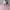 Stussy Streetwear Vintage T-shirt Pria pink photo 7