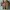 One Set Wanita – Atasan Berkerah & Celana Panjang  photo 2