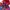 Vintage Streetwear Windbreaker Pria Red Blue