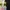 SESAME STREET BLACK CULLOTE CELANA KULOT photo 4