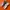 Nike v2k
 photo 1