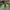 BALENCIAGA TRIPLE S MR PORTER NEON GREEN  Made In Italy 🇮🇹 photo 4