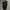 Rock Revival Leotis Straight Jeans 34 photo 5