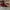 AIR JORDAN 1 RETRO HIGH OG NRG HOMAGE TO HOME , AIR JORDAN 1 photo 3