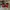 AIR JORDAN 1 RETRO HIGH OG NRG HOMAGE TO HOME , AIR JORDAN 1 photo 4