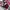 AIR JORDAN 1 RETRO HIGH OG NRG HOMAGE TO HOME , AIR JORDAN 1 photo 8