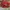 AIR JORDAN 1 RETRO HIGH OG NRG HOMAGE TO HOME , AIR JORDAN 1 photo 5