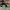 AIR JORDAN 1 RETRO HIGH ZOOM ZEN GREEN BLACK  , AIR JORDAN 1 photo 3