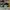 AIR JORDAN 1 RETRO HIGH ZOOM ZEN GREEN BLACK  , AIR JORDAN 1 photo 1