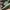 AIR JORDAN 1 RETRO HIGH ZOOM ZEN GREEN BLACK  , AIR JORDAN 1 photo 6
