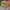 AIR JORDAN 1 RETRO HIGH ZOOM ZEN GREEN BLACK  , AIR JORDAN 1 photo 5