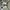 Adidas Casual Casual shoe Pria white black photo 2