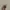 SKINTIFIC - Cover Perfect Serum Concealer 5ml shade IVORY photo 3