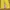 DSQUARED2 Sportswear Short Wanita yellow photo 4